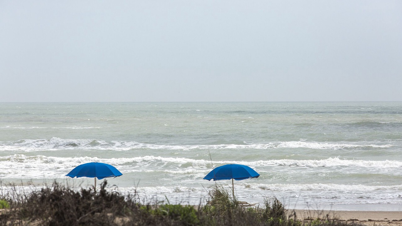 Photo of Others in South Padre Island