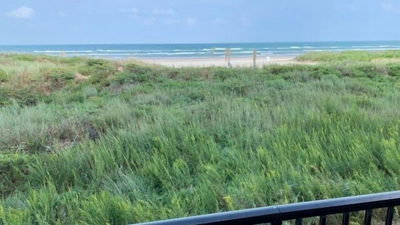 Photo of Others in South Padre Island