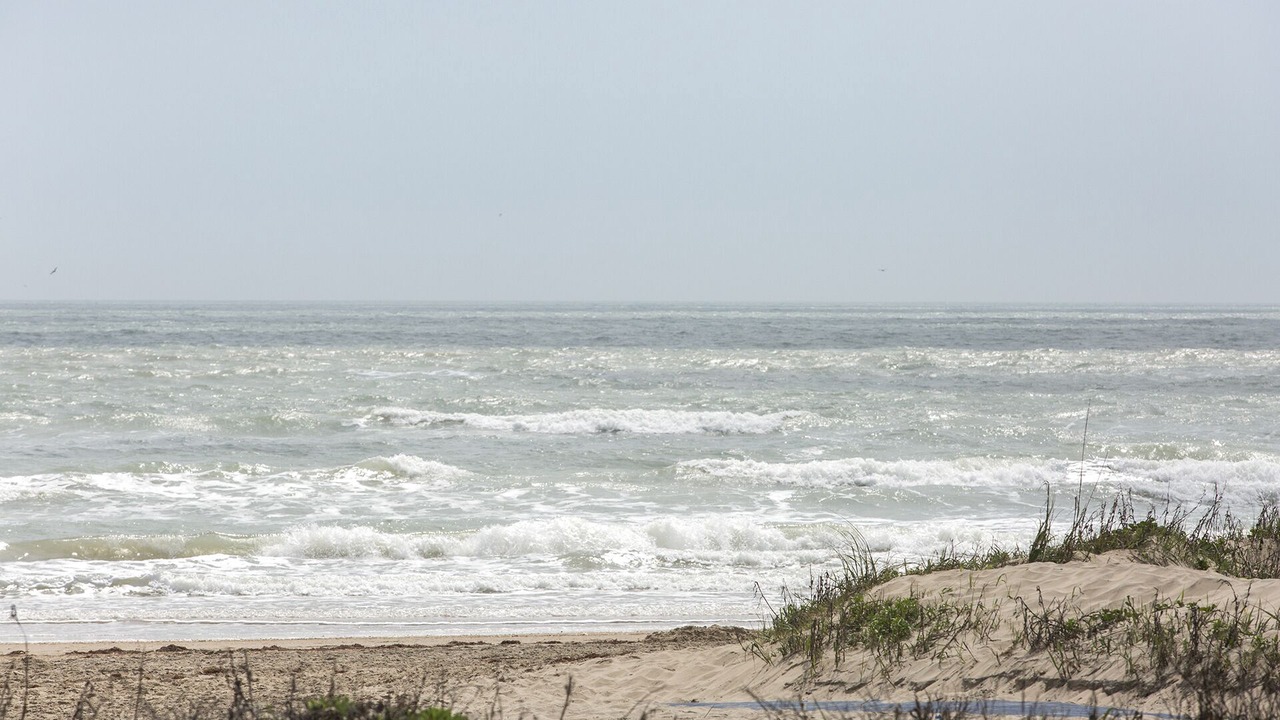 Photo of Others in South Padre Island