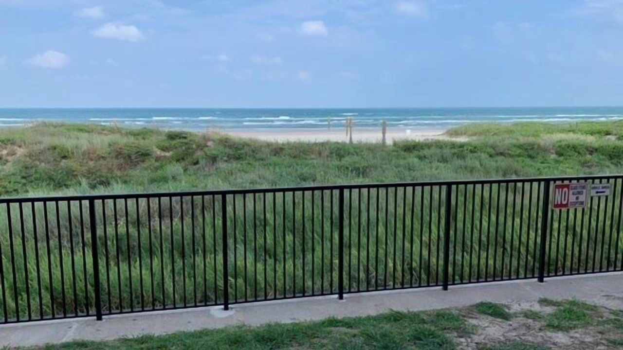 Photo of Others in South Padre Island