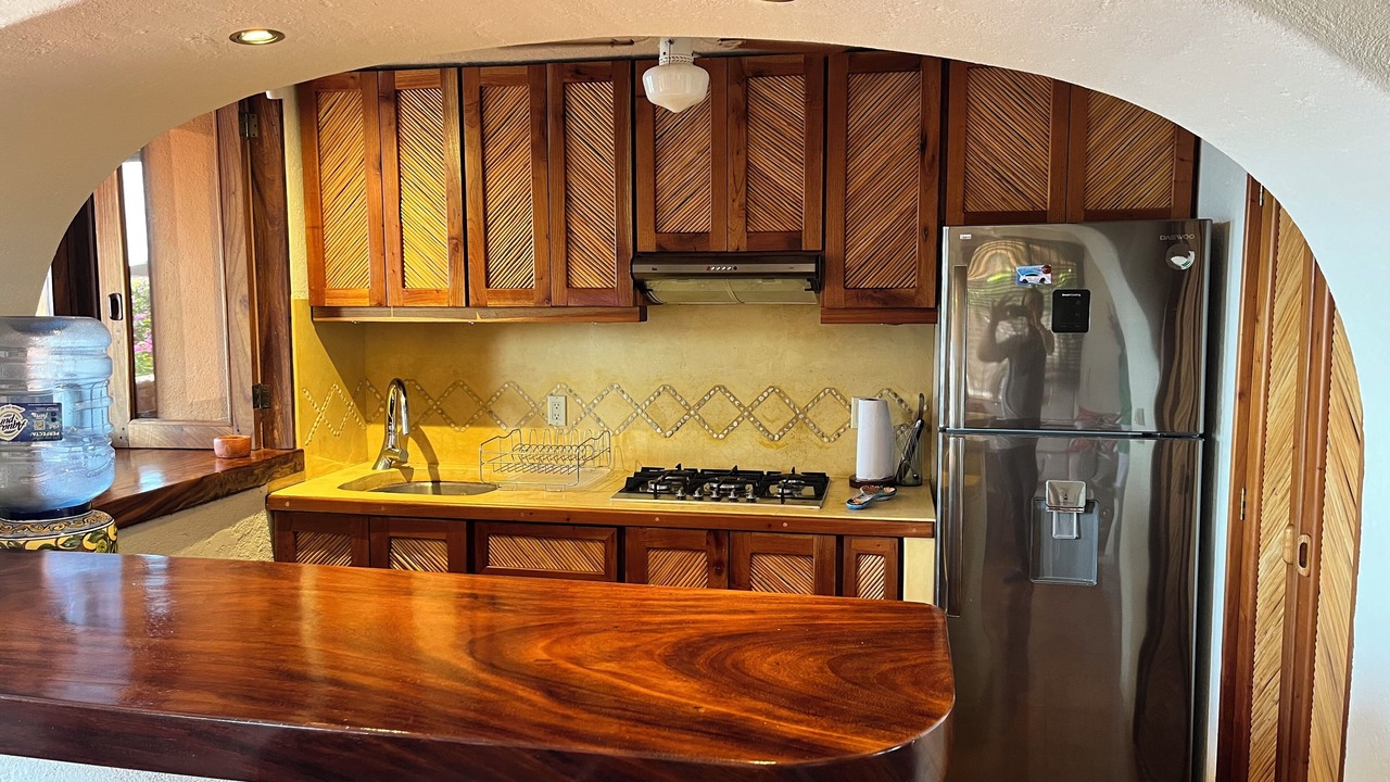 Photo of Kitchen in Playa Las Gatas