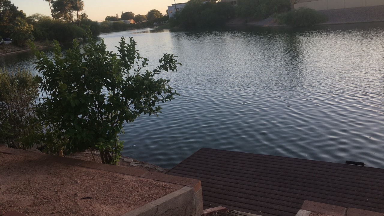 Photo of Outdoor in Dobson Ranch