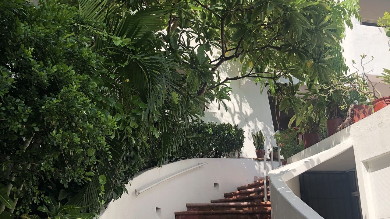 Photo of Outdoor in Zihuatanejo