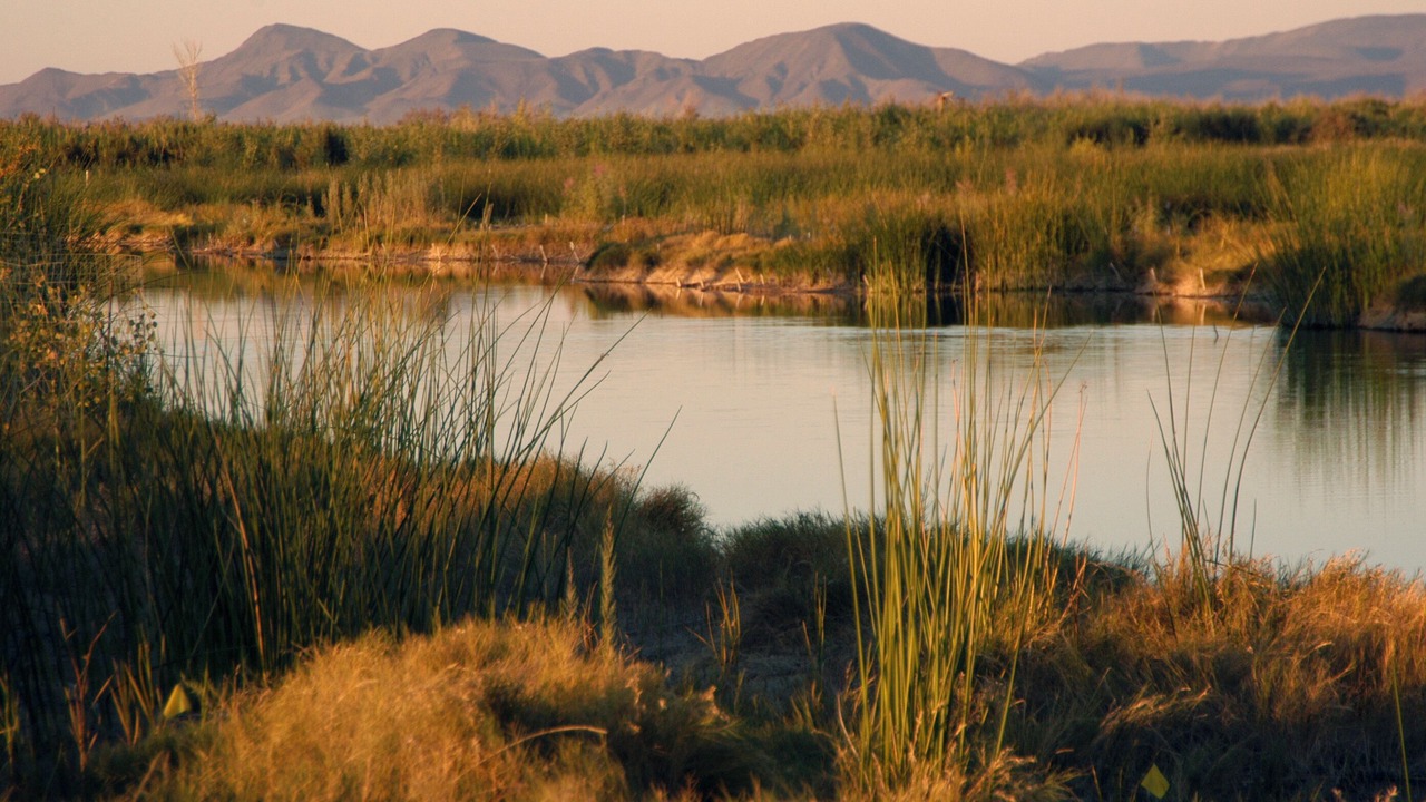 Photo of Others in Yuma