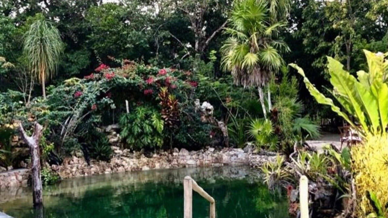 Photo of Outdoor in Joaquin Zetina Gasca