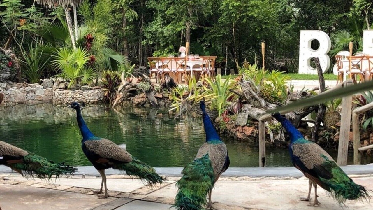 Photo of Outdoor in Joaquin Zetina Gasca