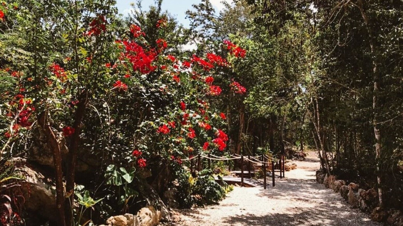 Photo of Outdoor in Joaquin Zetina Gasca