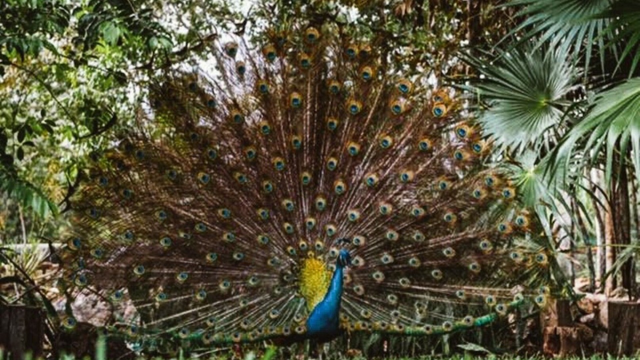 Photo of Outdoor in Joaquin Zetina Gasca