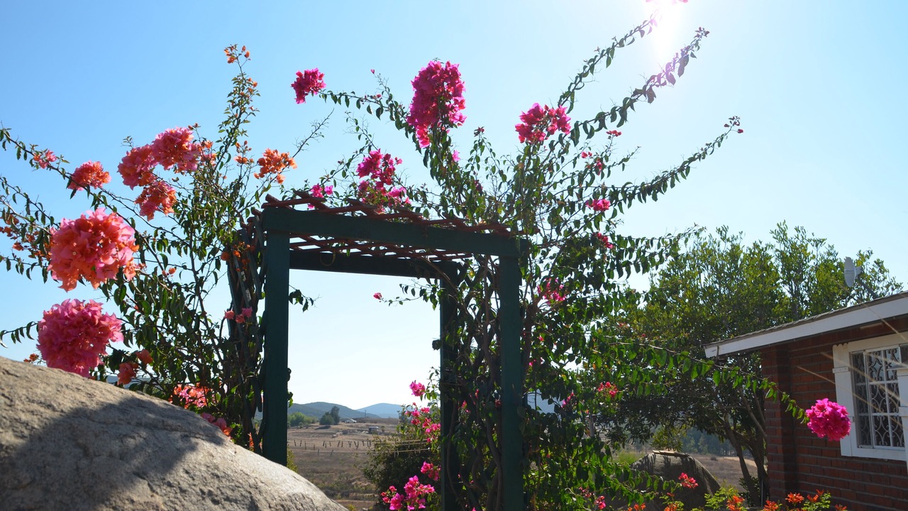 Photo of Outdoor in San Antonio de las Minas
