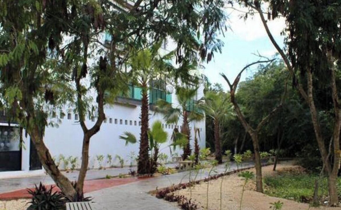 Photo of Outdoor in Puerto Juarez