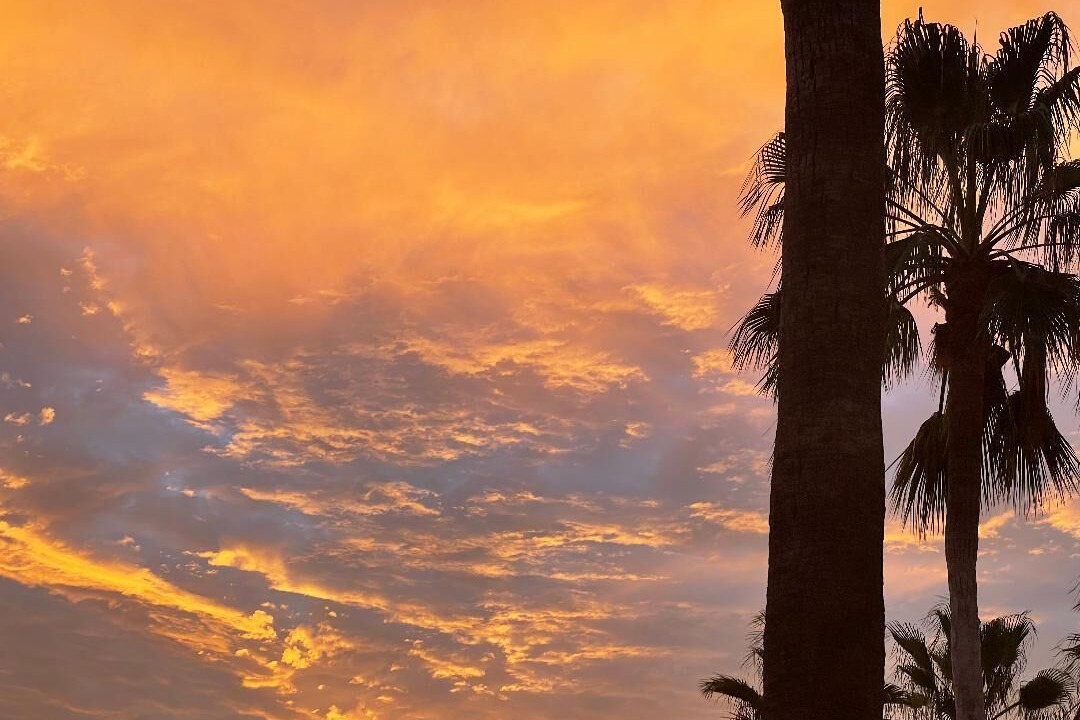 Photo of Outdoor in El Tezal
