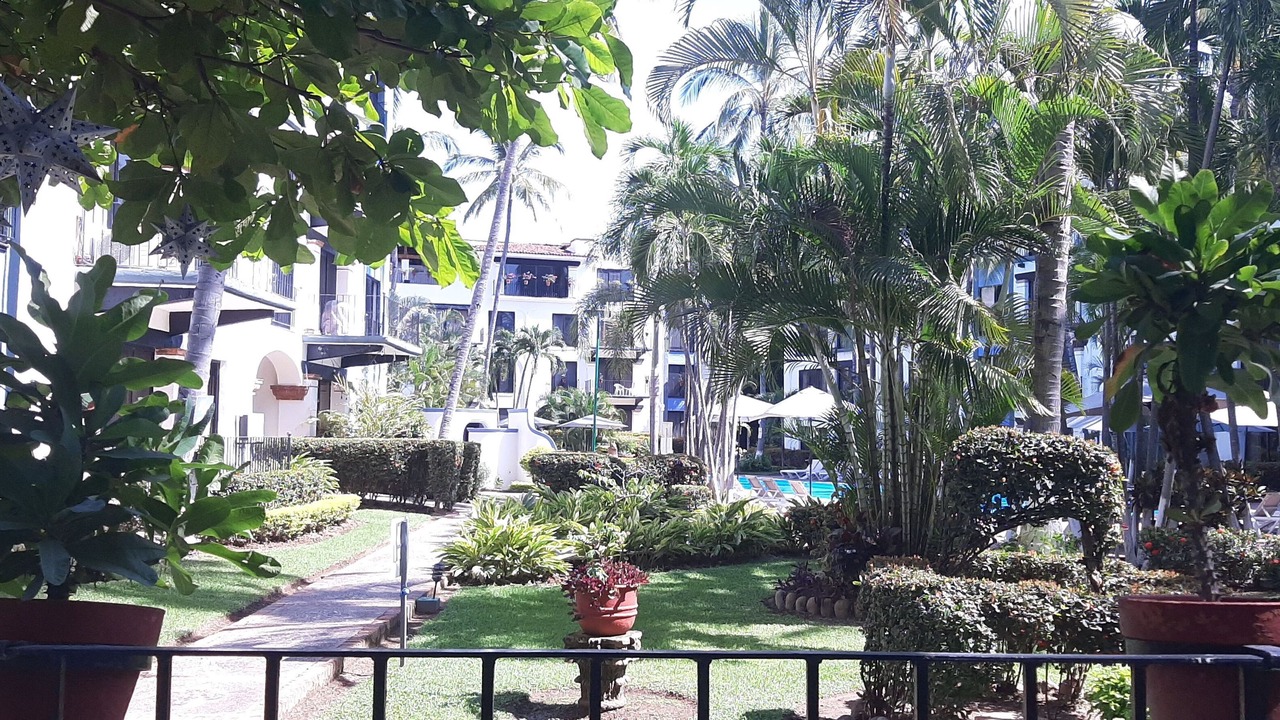 Photo of Outdoor in Fluvial Vallarta
