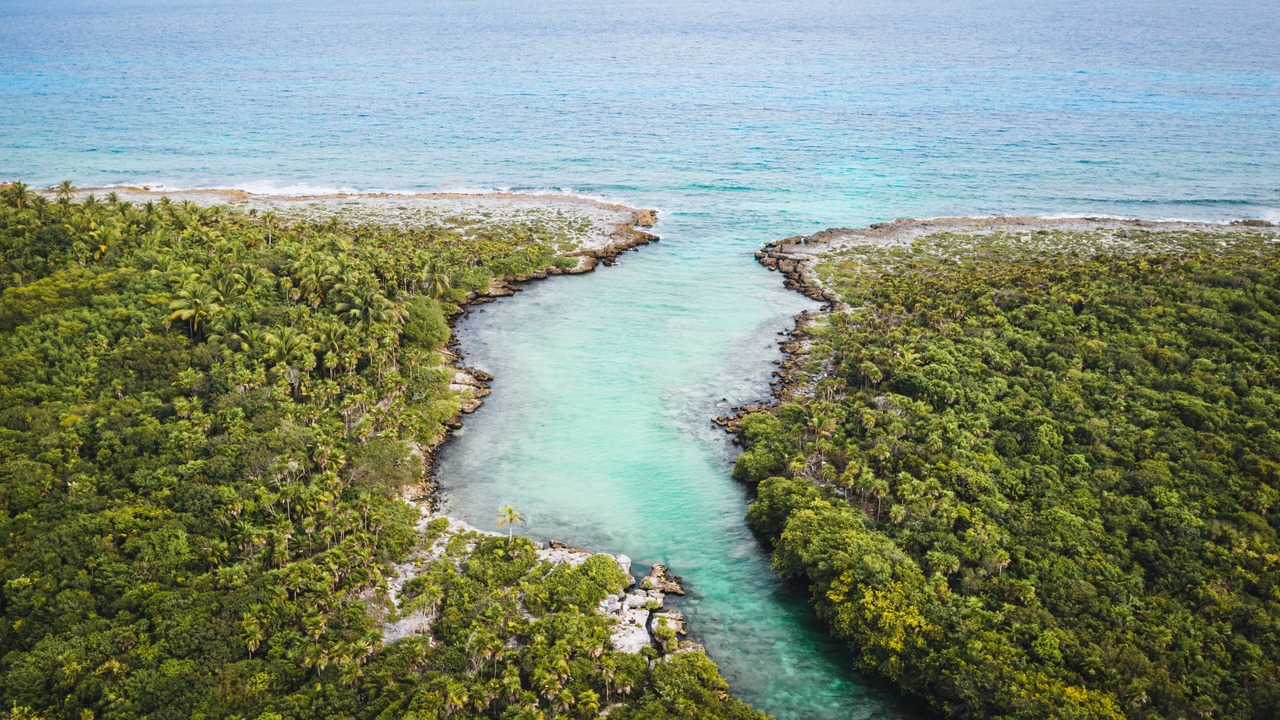 Photo of Others in Akumal