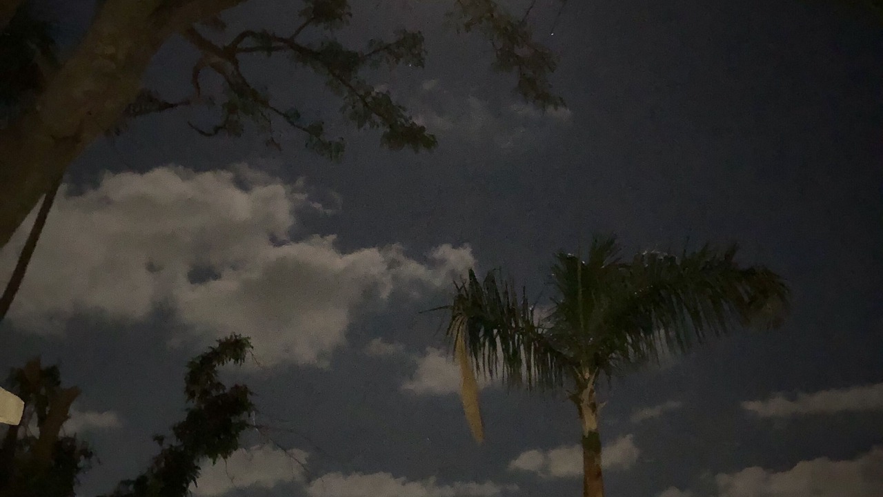 Photo of Outdoor in Las Playas
