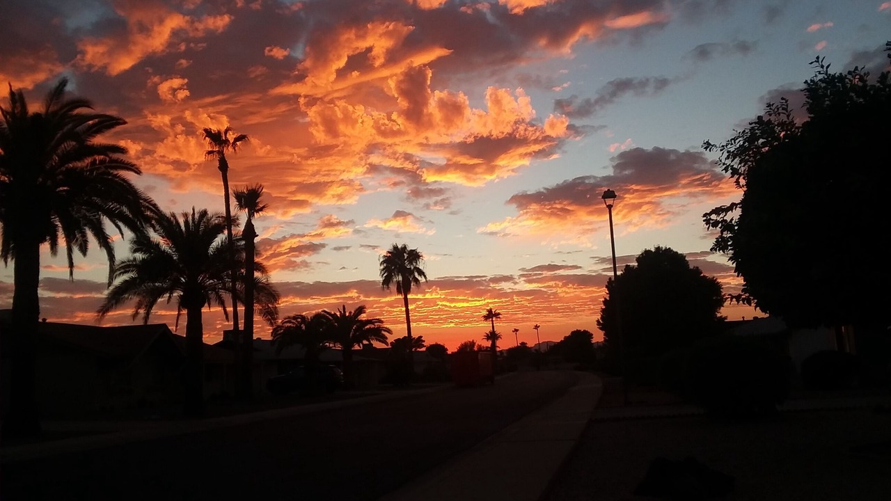 Photo of Others in Sun City