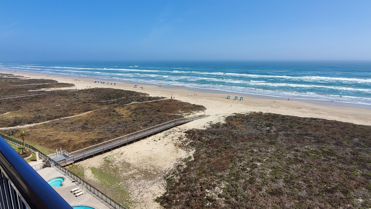 Photo of Others in South Padre Island