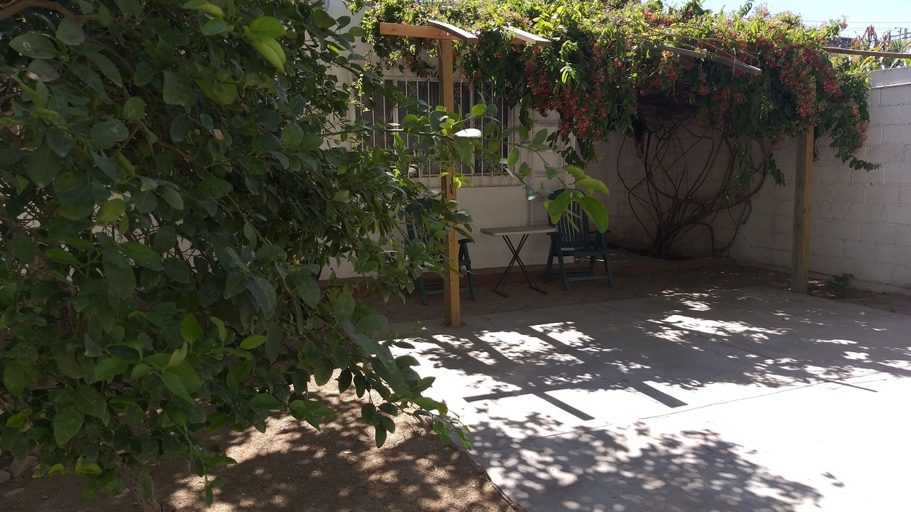 Photo of Others in La Paz