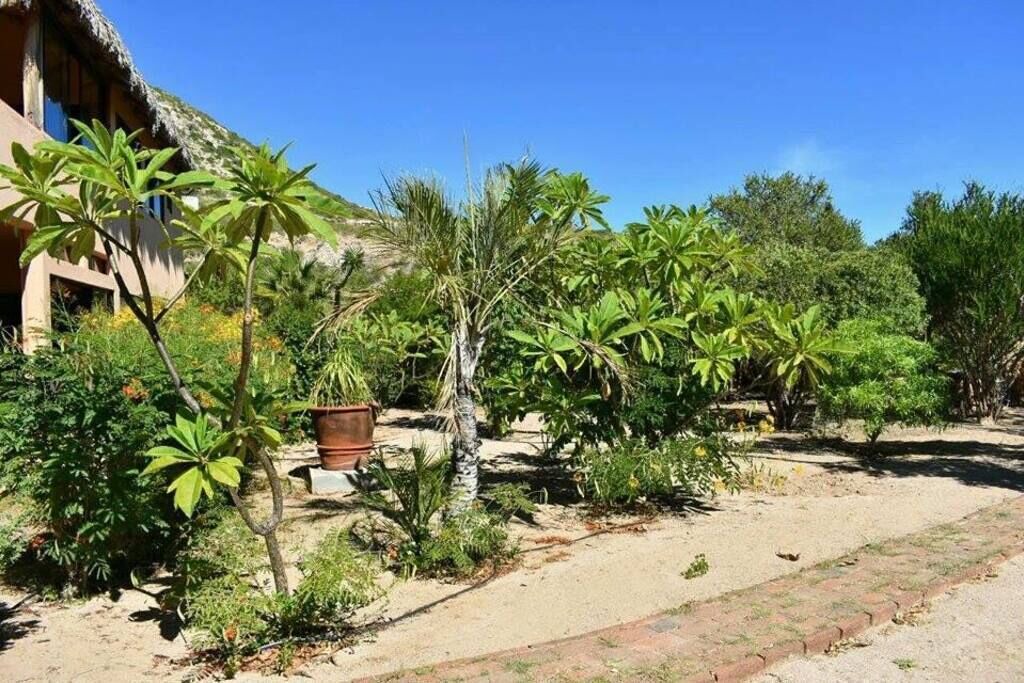 Photo of Others in Cabo Pulmo