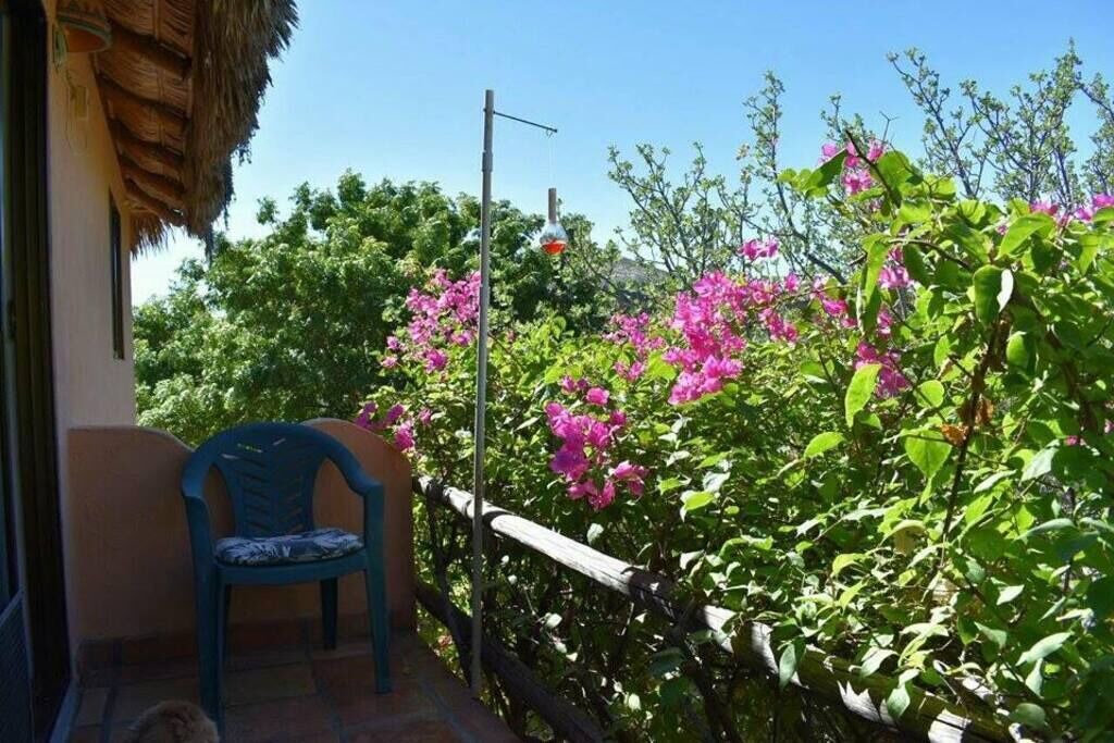 Photo of Patio Balcony in Cabo Pulmo