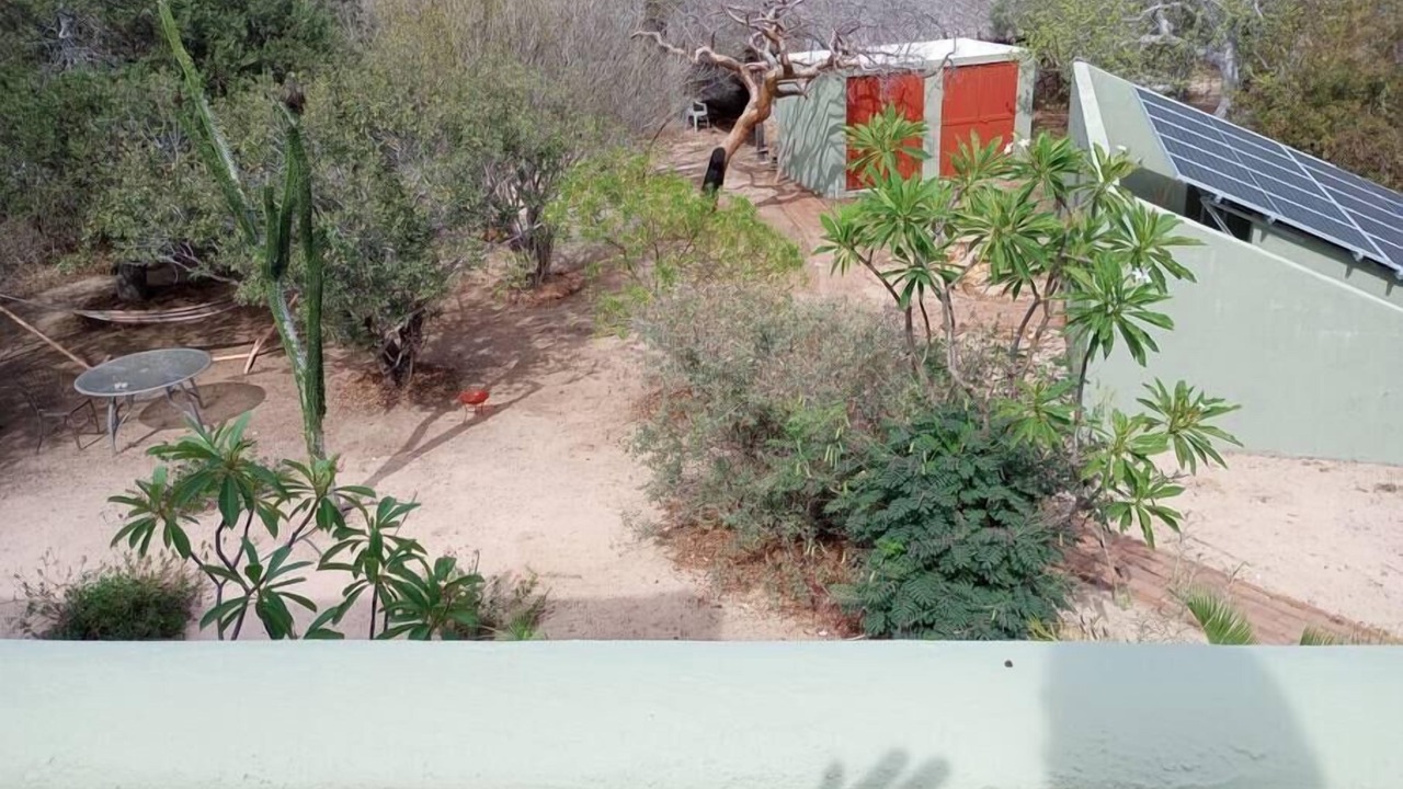 Photo of Outdoor in Cabo Pulmo