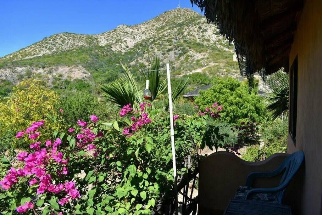 Photo of Patio Balcony in Cabo Pulmo
