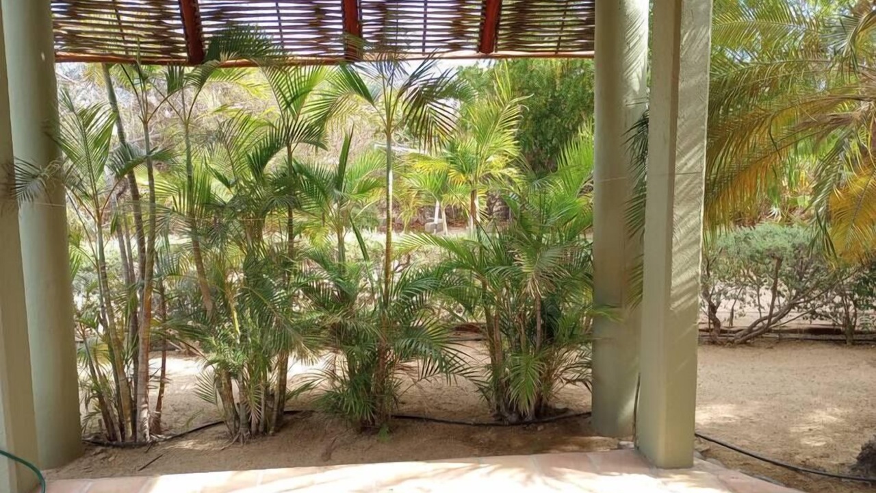 Photo of Outdoor in Cabo Pulmo