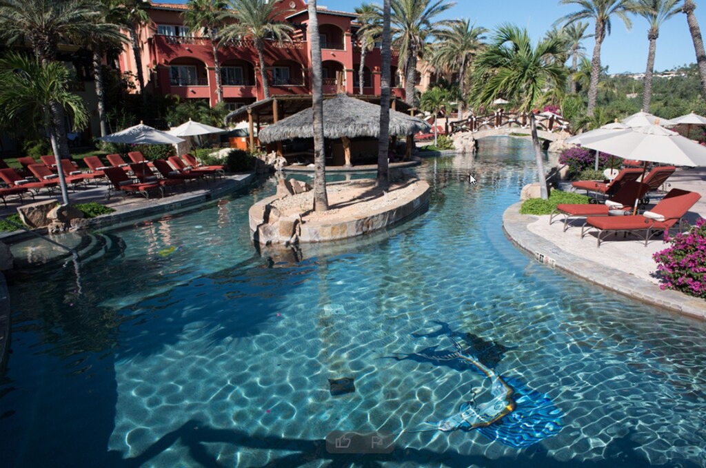 Photo of Others in Cabo San Lucas