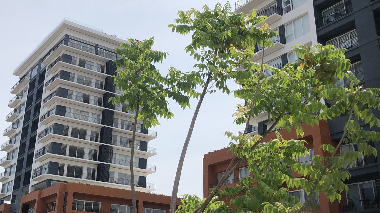 Photo of Outdoor in North Hotel Zone
