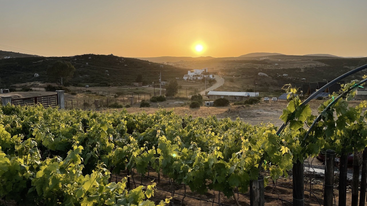 Photo of Outdoor in Valle de Guadalupe