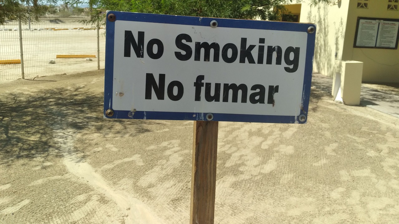 Photo of Outdoor in El Dorado Ranch