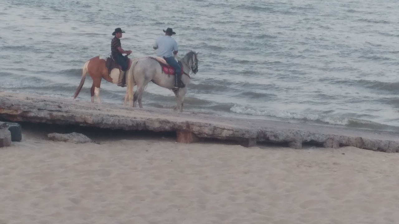 Photo of Others in El Dorado Ranch