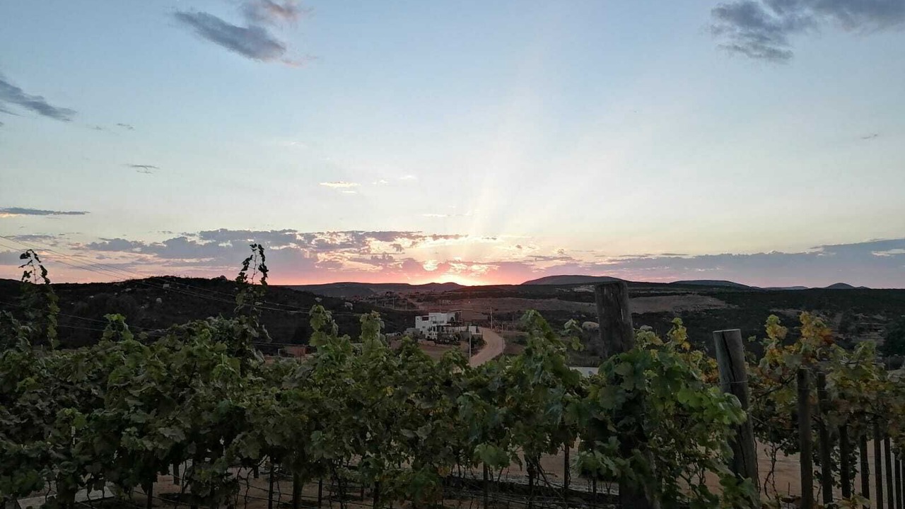 Photo of Others in Valle de Guadalupe
