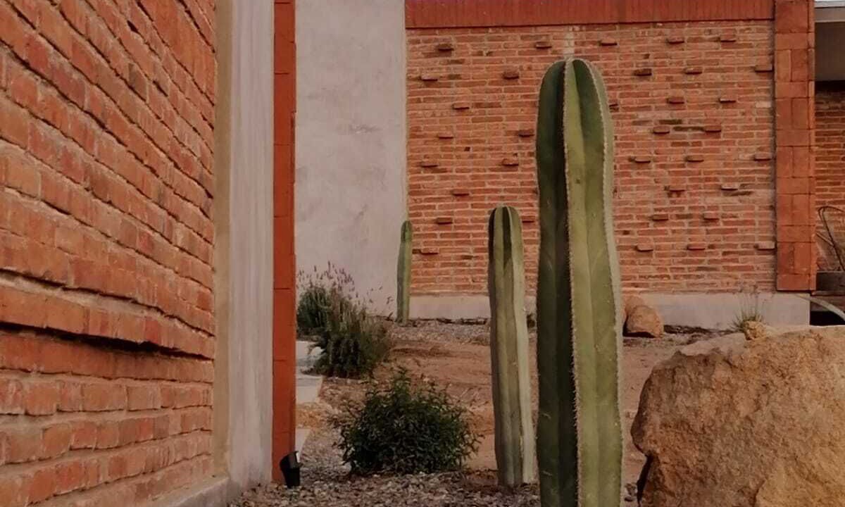 Photo of Outdoor in Valle de Guadalupe