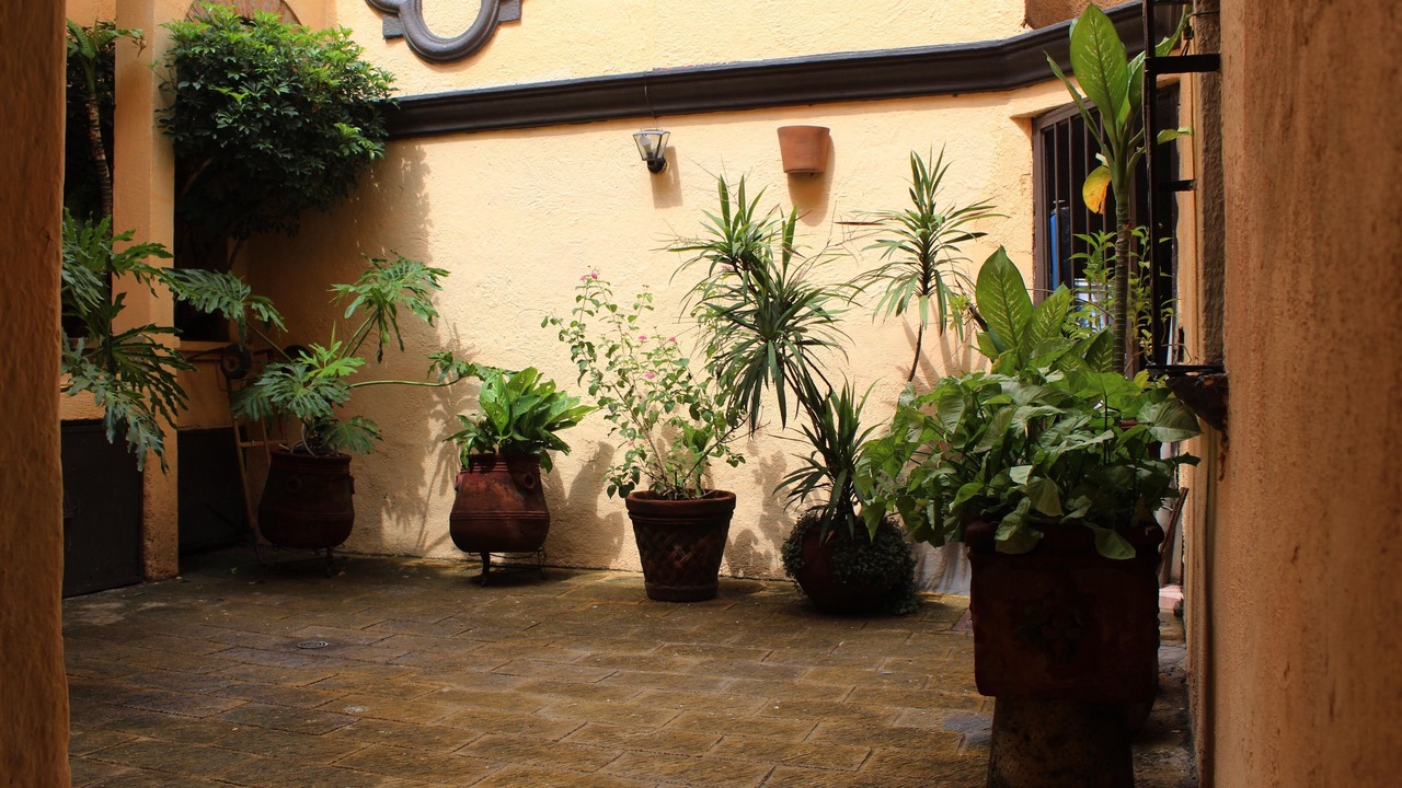 Photo of Outdoor in Chapalita