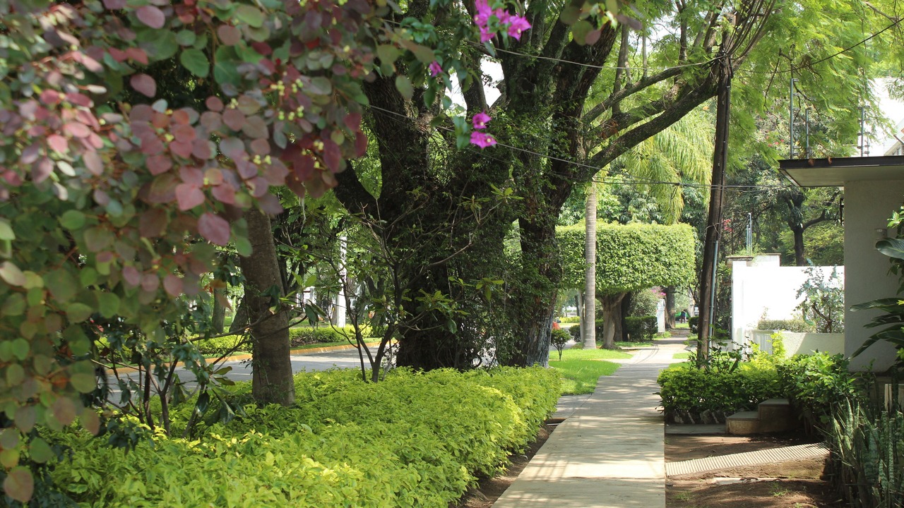 Photo of Outdoor in Chapalita