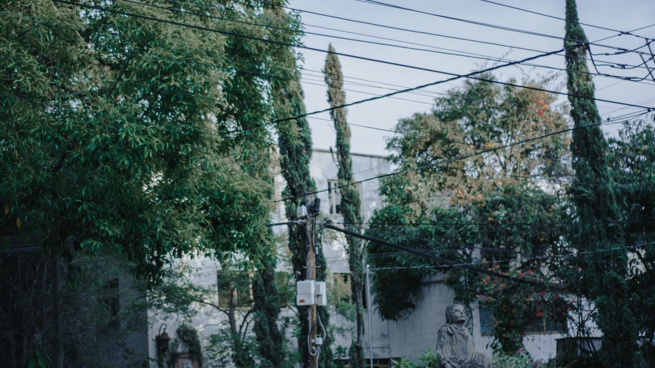 Photo of Outdoor in Chapalita