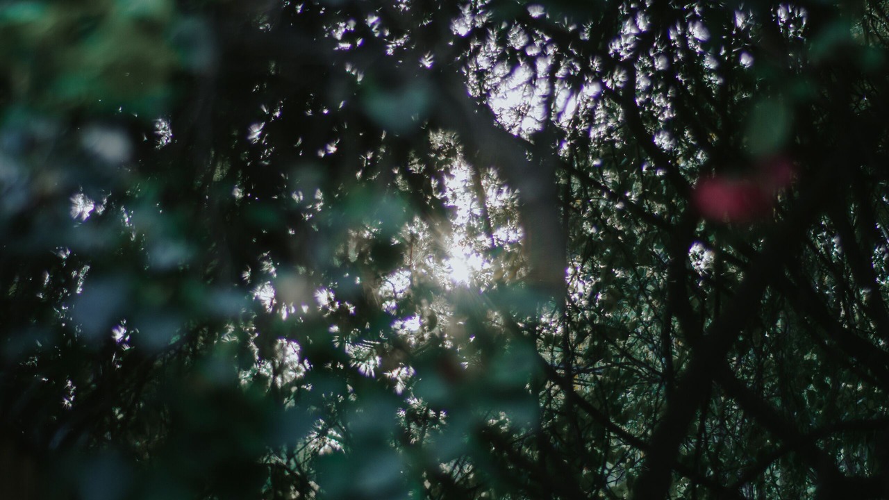 Photo of Outdoor in Chapalita