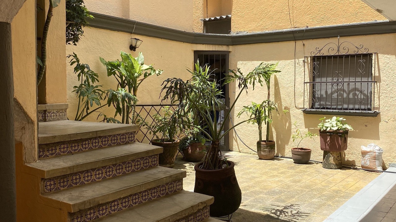 Photo of Outdoor in Chapalita