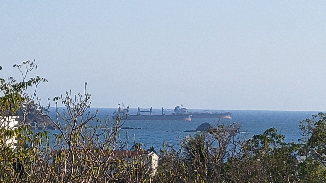 Photo of Others in Manzanillo