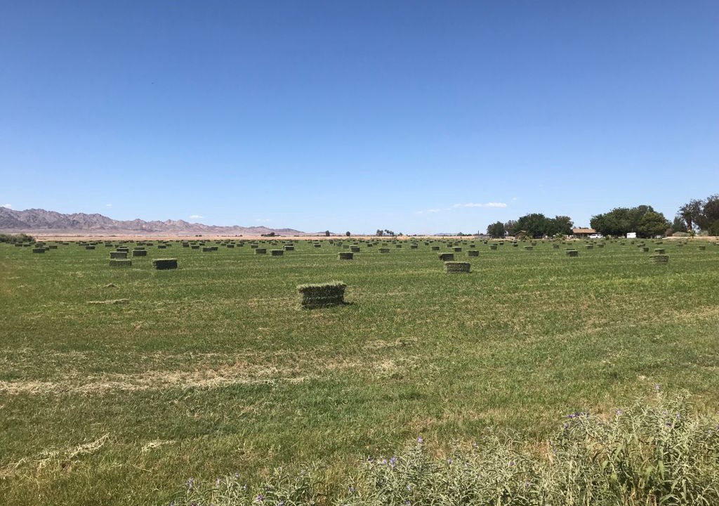 Photo of Outdoor in Blythe
