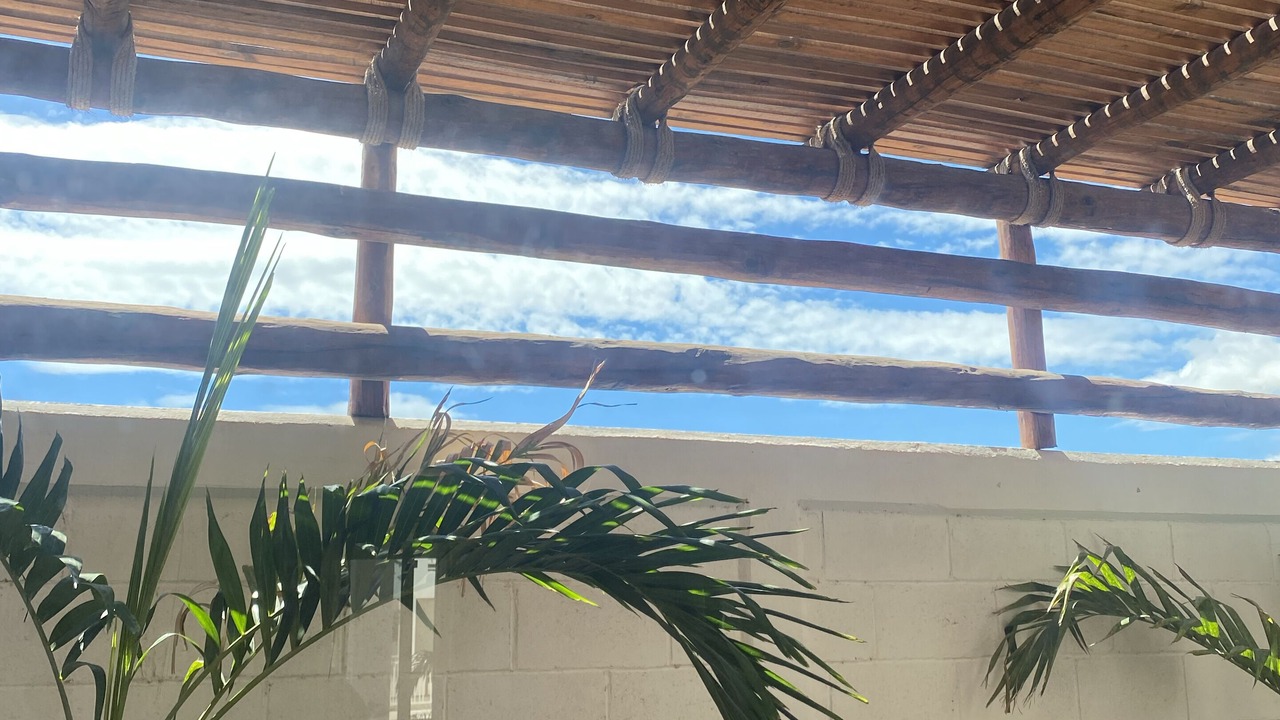 Photo of Outdoor in San Carlos