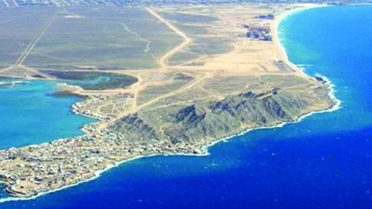 Photo of Others in Cholla Bay
