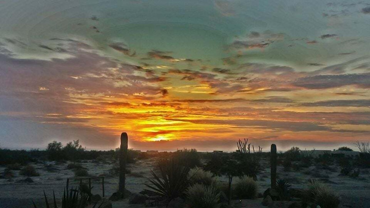 Photo of Outdoor in El Dorado Ranch