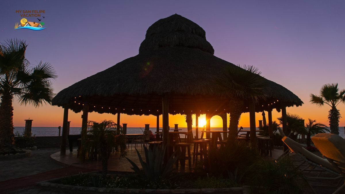 Photo of Others in San Felipe