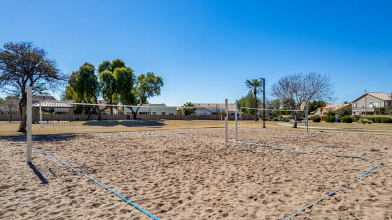 Photo of Others in Palm Valley