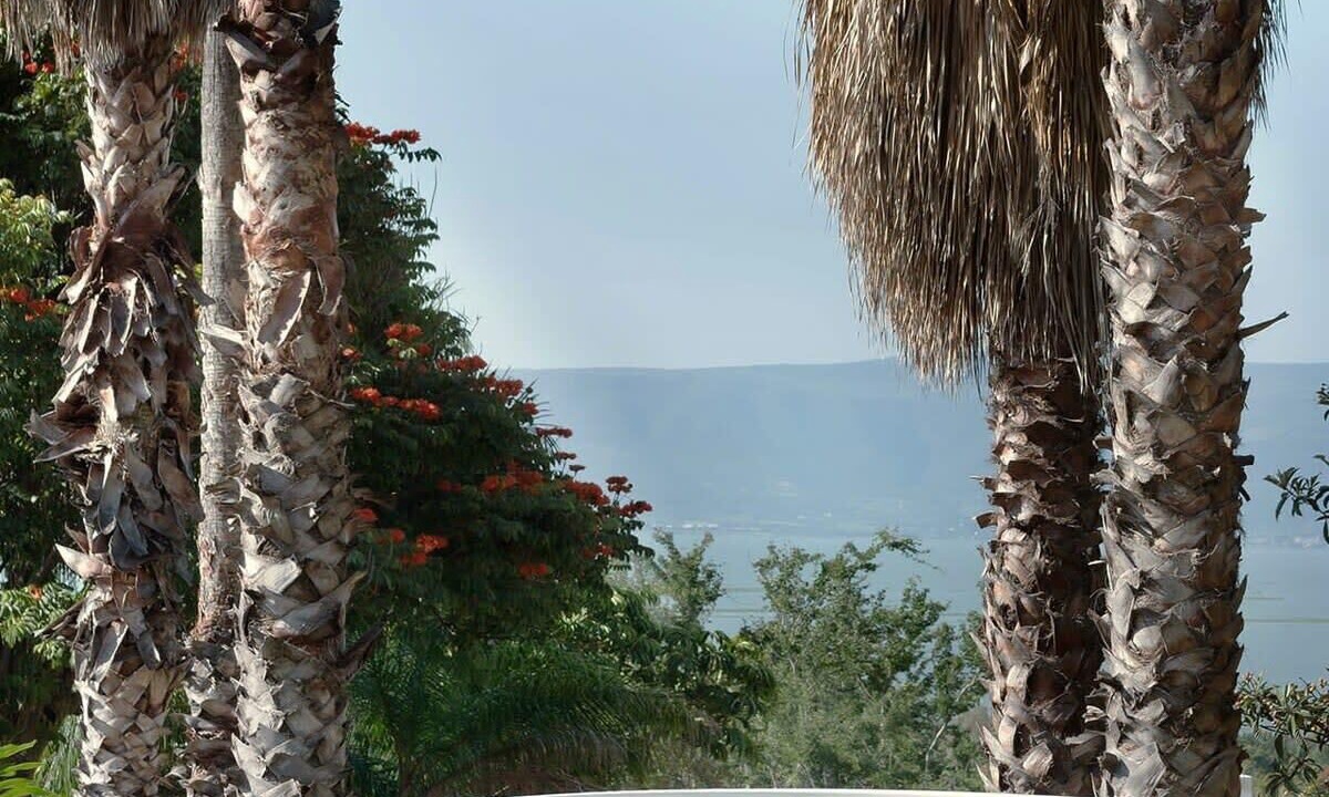 Photo of Outdoor in Ajijic