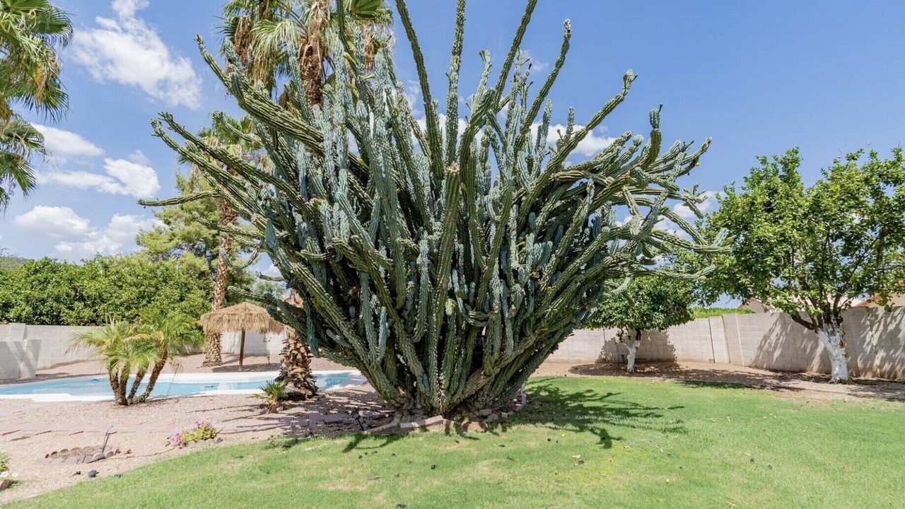 Photo of Outdoor in Glendale
