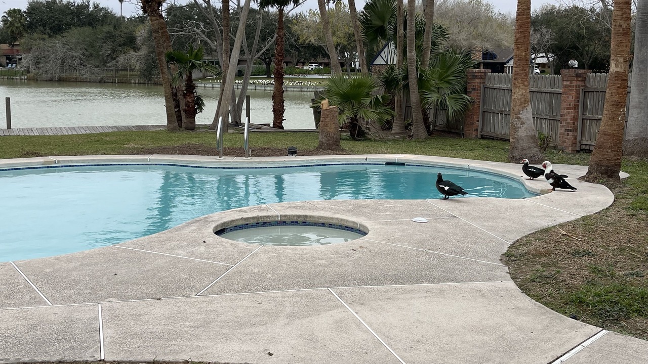 Photo of Outdoor in Harlingen