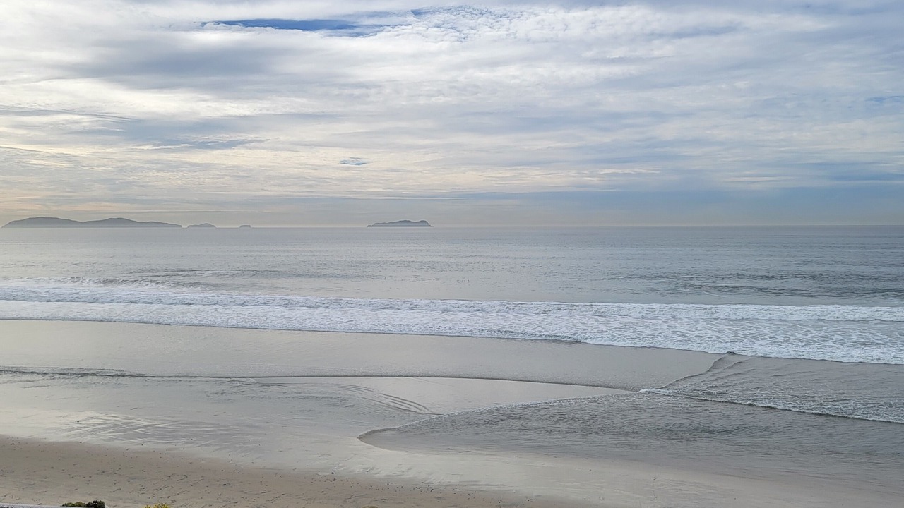 Photo of Others in Costa de Oro