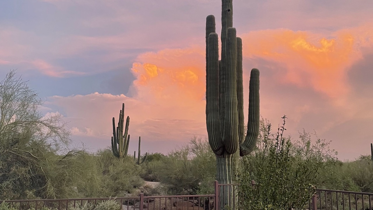 Photo of Others in Desert View Village